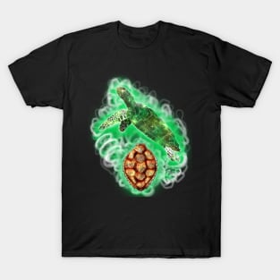 Spiritual Release-Turtle T-Shirt